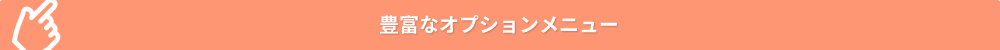 豊富なオプションメニュー